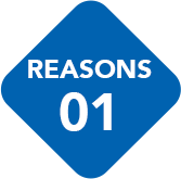 Reasons1